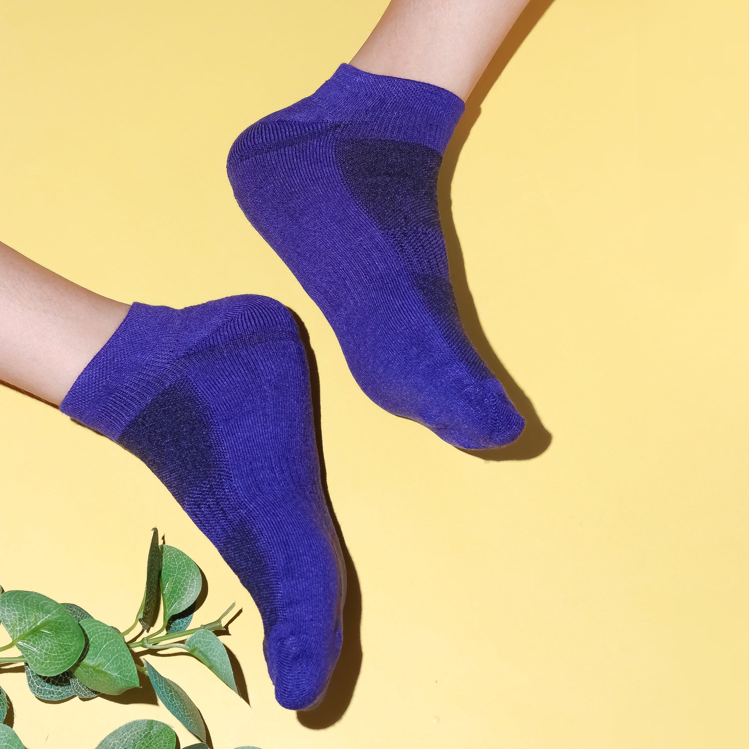 Printed, Striped, or Solid? Explore the Latest Trends in Ladies Socks