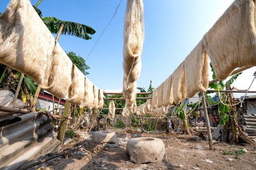 Bamboo Fibers Gain Traction in Everyday Sock Manufacturing