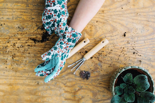 How Socks Are Evolving in the Age of Sustainability