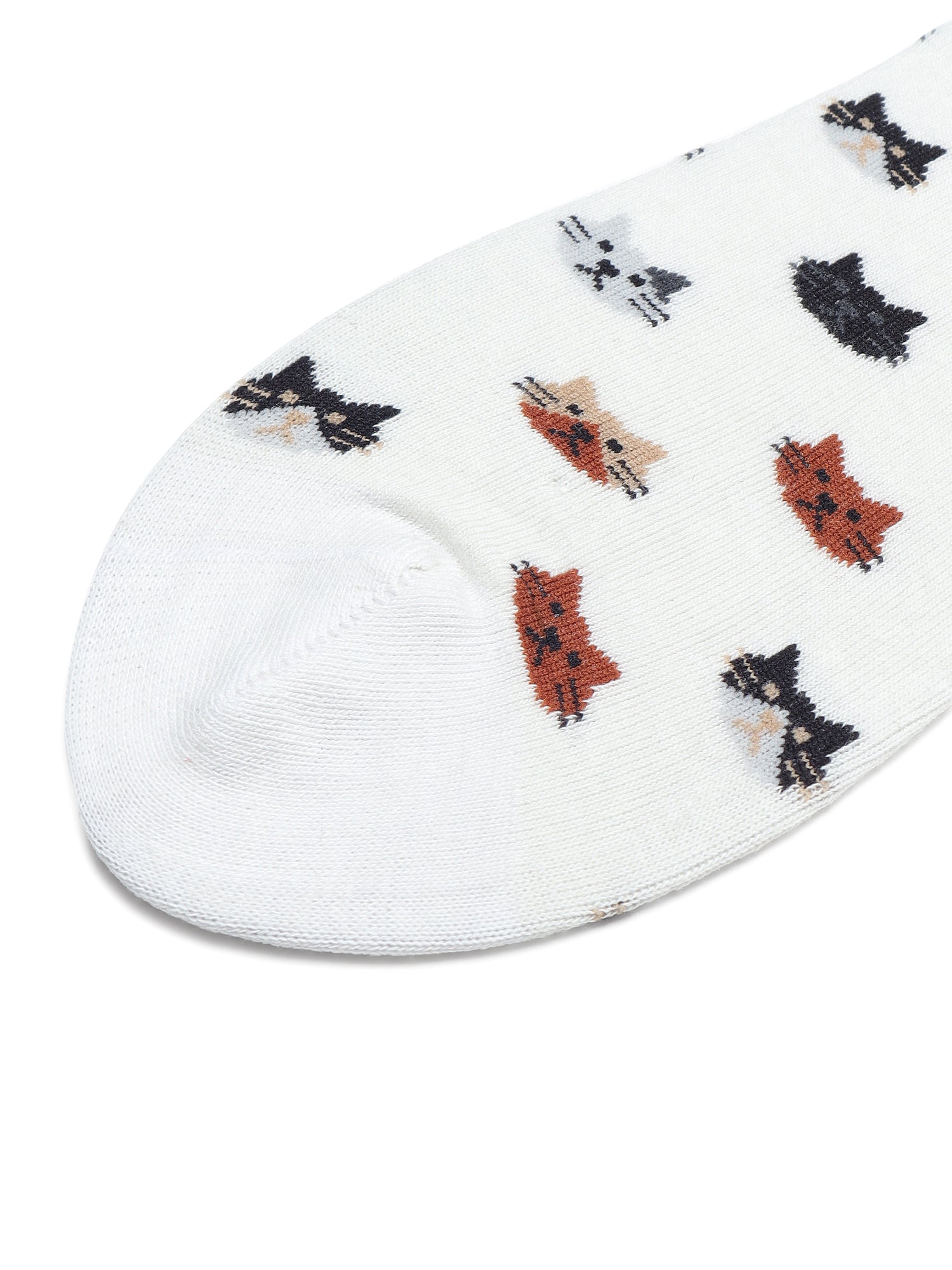 Purrfect | CreamAnkle Socks for Men and Women