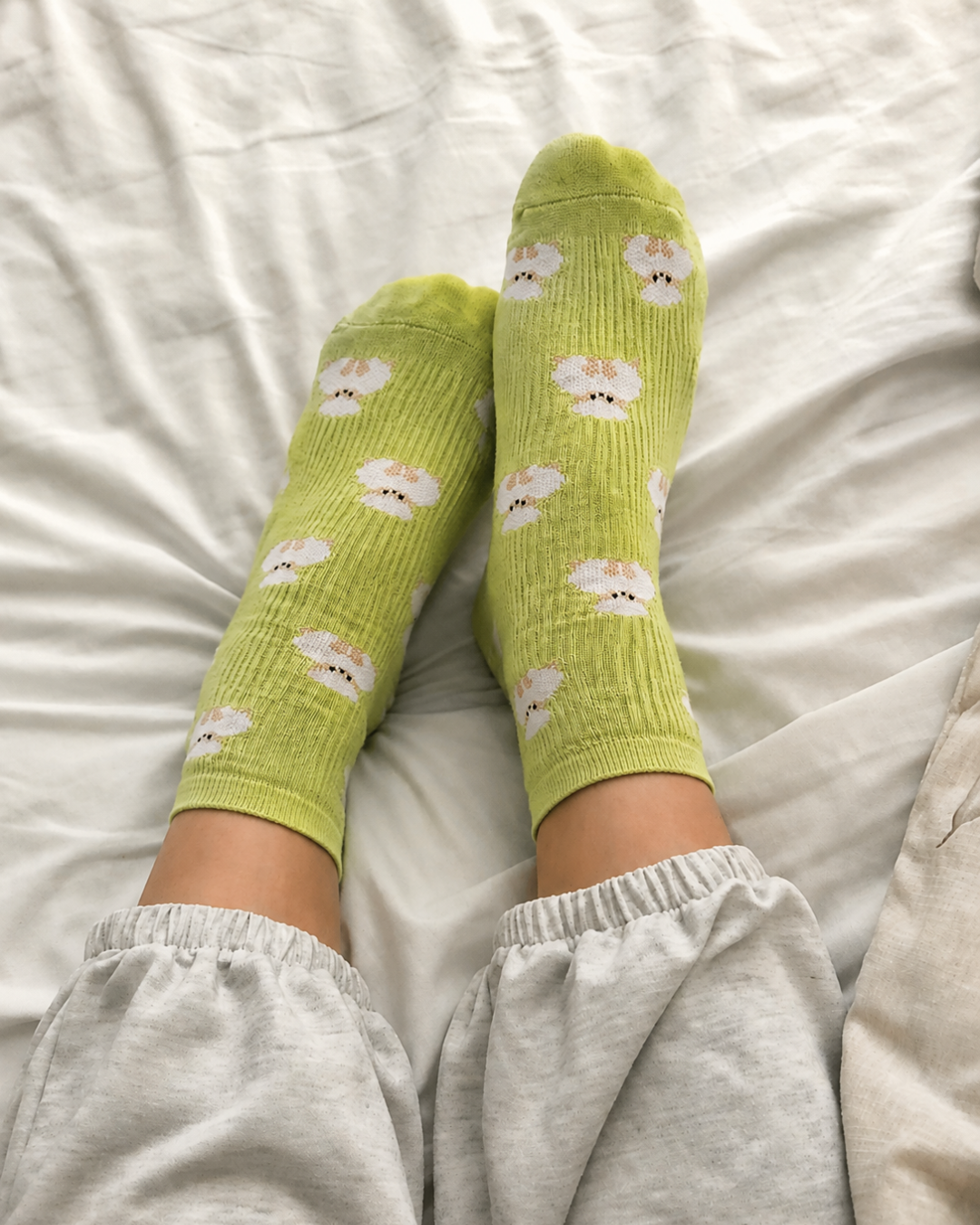 Woolie Wonka | Bamboo Socks | UNISEX