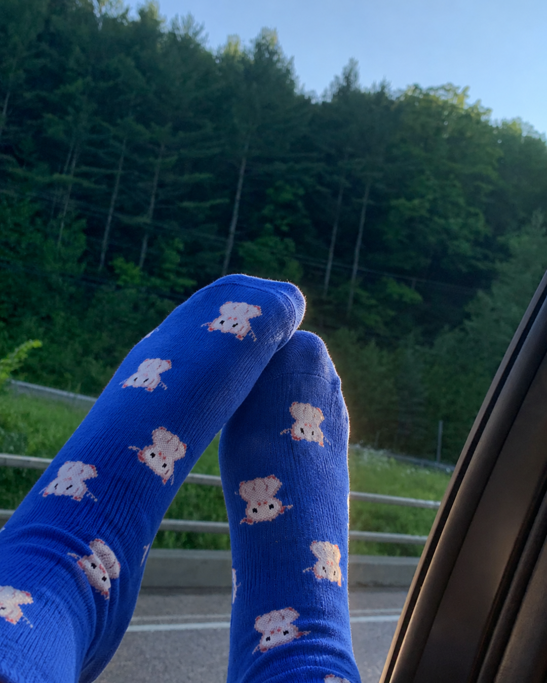 Chris-P-Bacon | Bamboo Socks | UNISEX